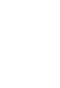 Street Custom3D